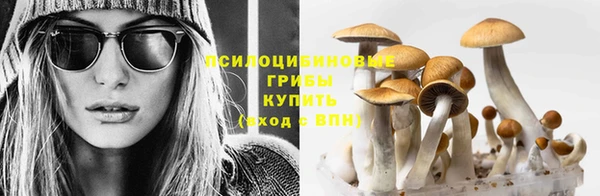 альфа пвп Магас