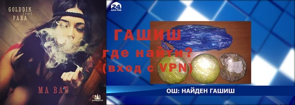 сатива Магадан
