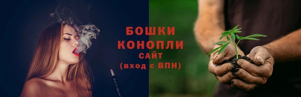сатива Магадан