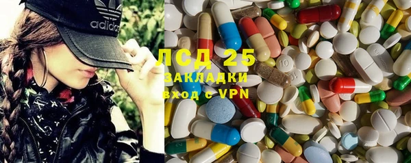 сатива Магадан