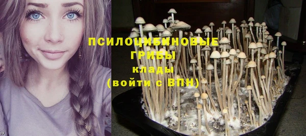 альфа пвп Магас