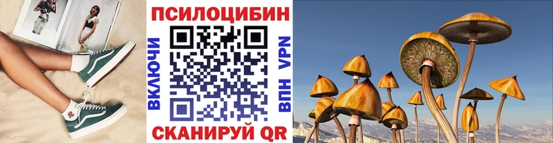 Псилоцибиновые грибы MAGIC MUSHROOMS  Купить  Великий Новгород 